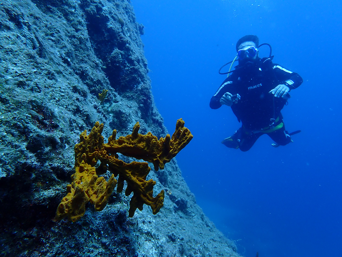 Patmos wall diving 006